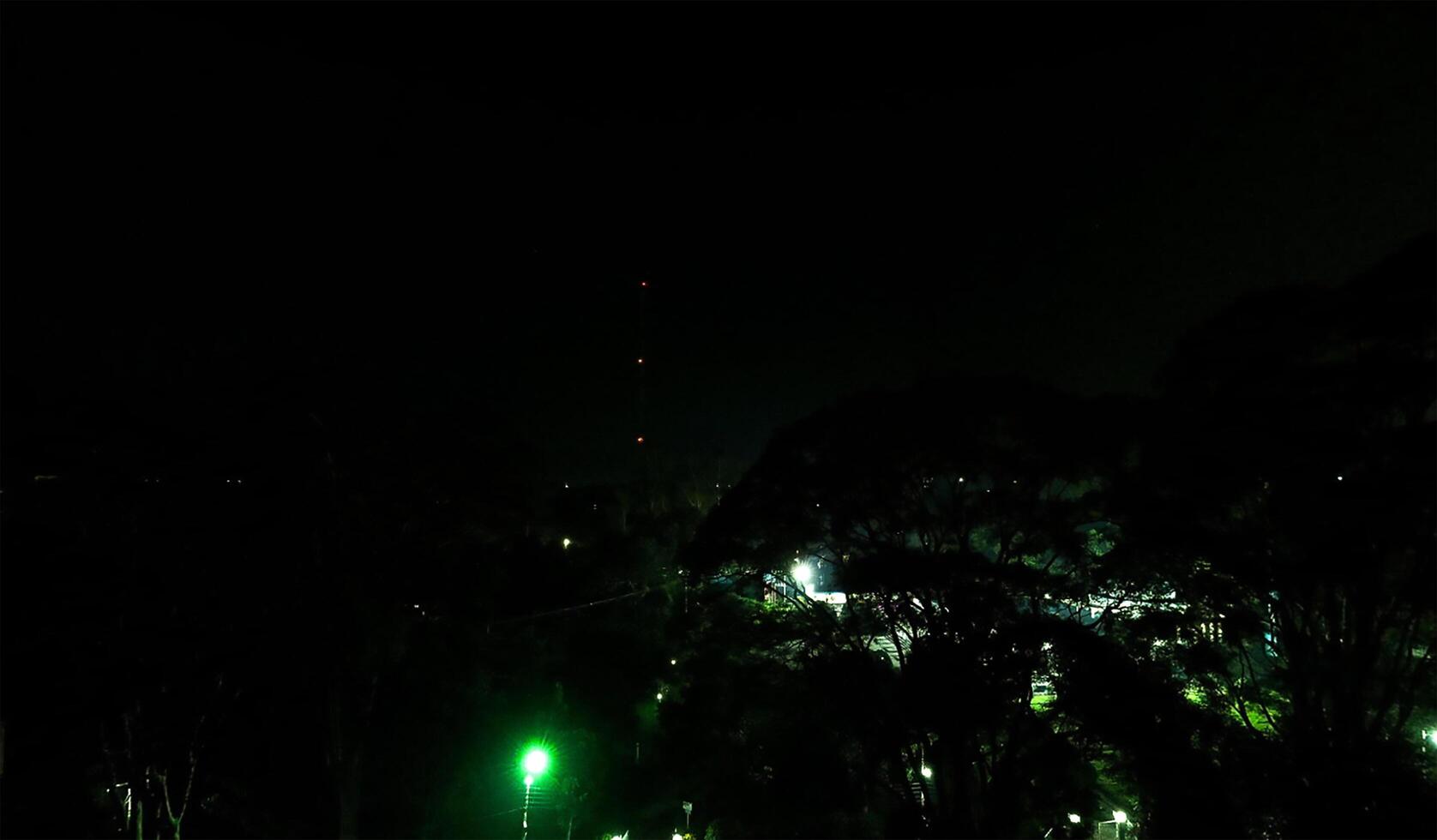 A green light is shining on a tree photo