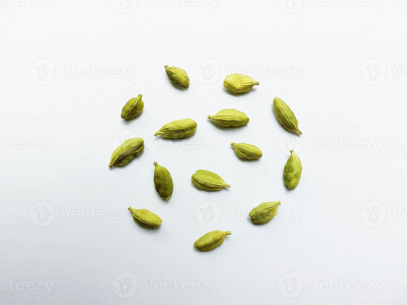 Green Cardamom in a circle shape isolated on white background - Green Ilaichi on white backgroun photo
