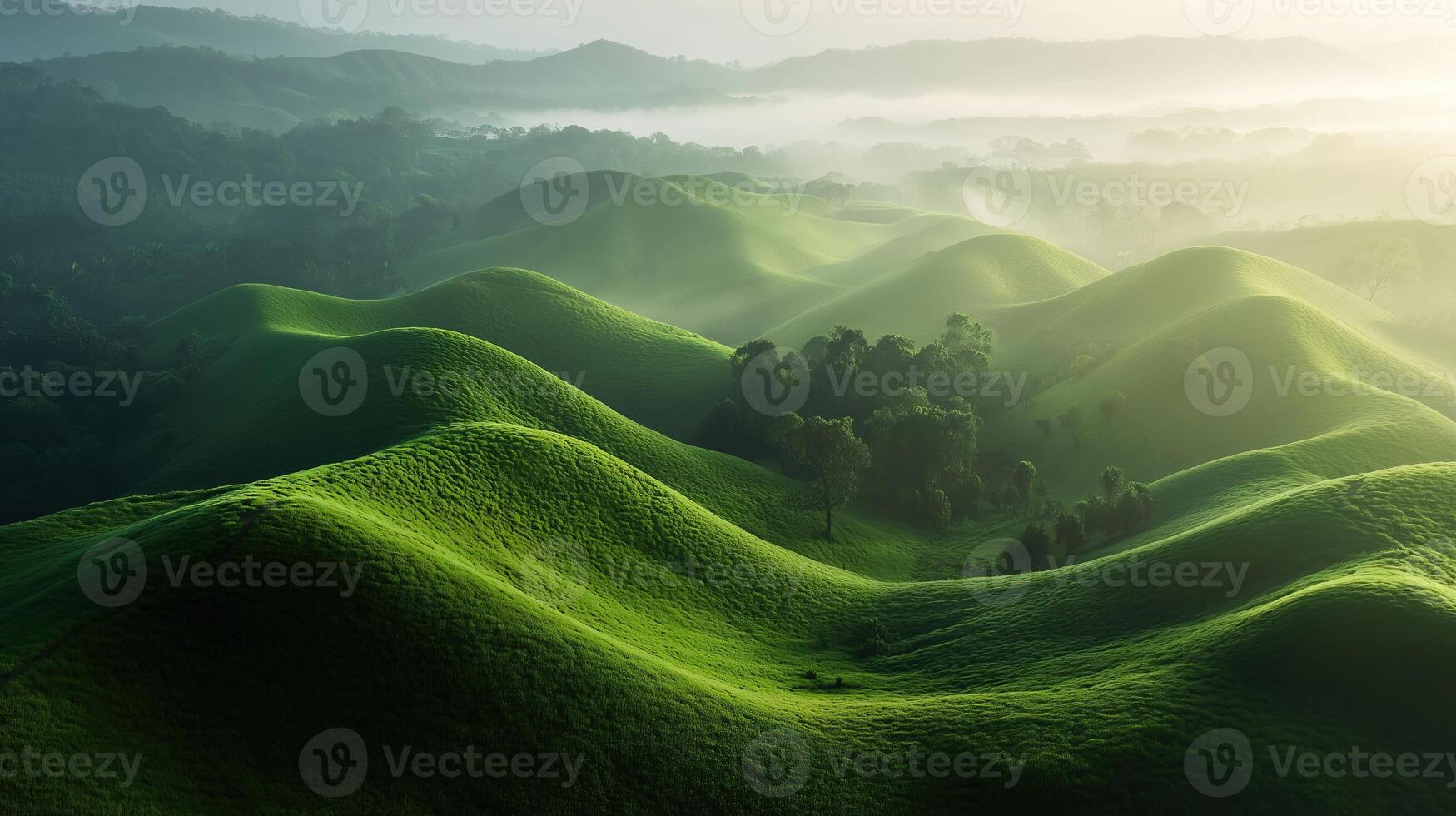 Beautiful landscape of lush green hills covered with morning dew photo