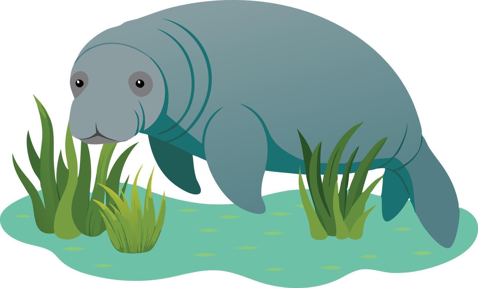 illustration of a manatee swimming through aquatic plants vector