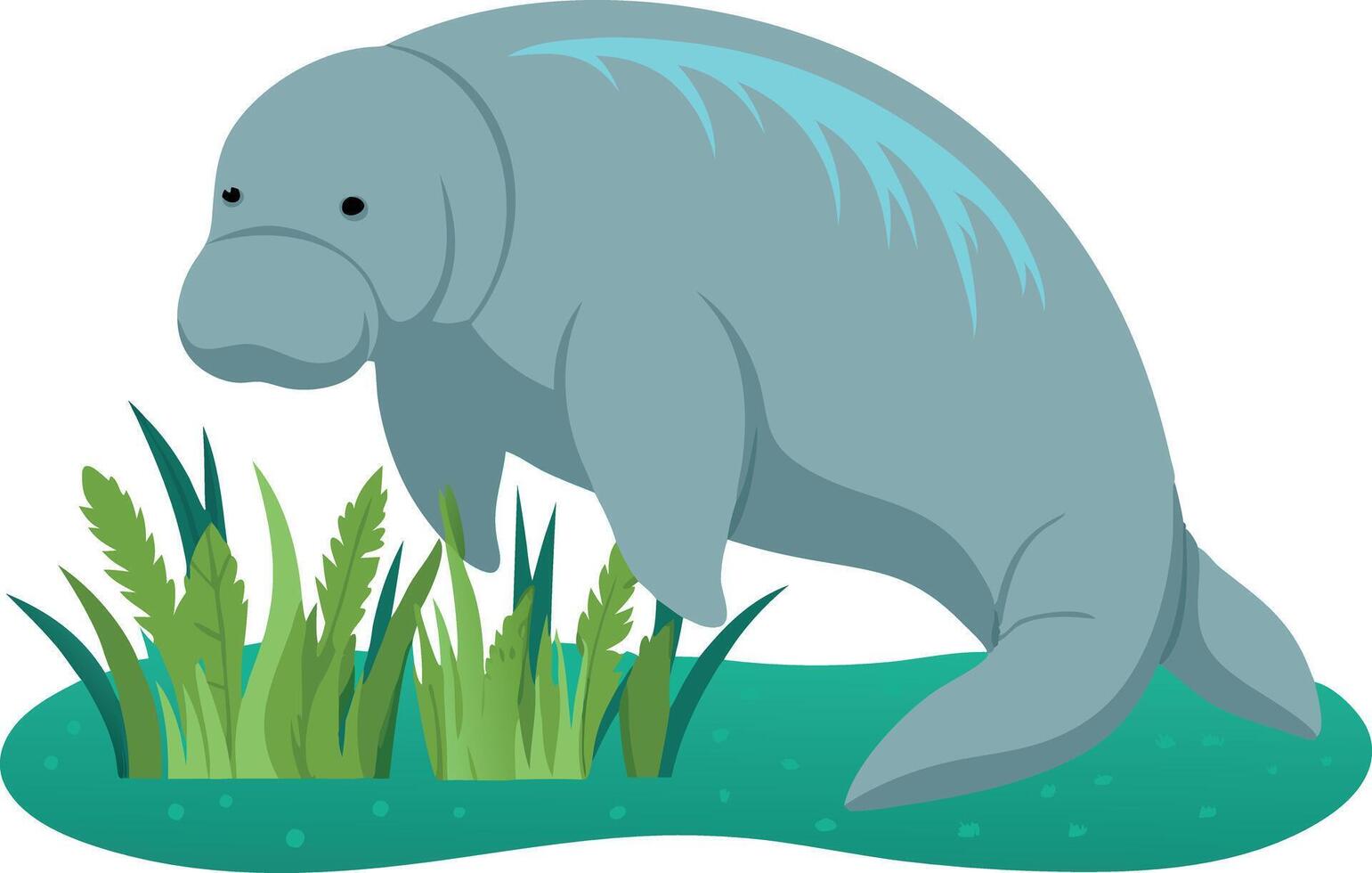 illustration of a manatee swimming near aquatic plants vector