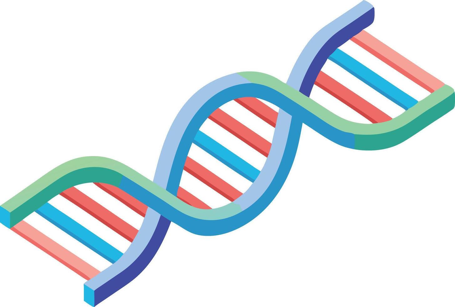 DNA strand symbolizing genetics, science, and biological research vector