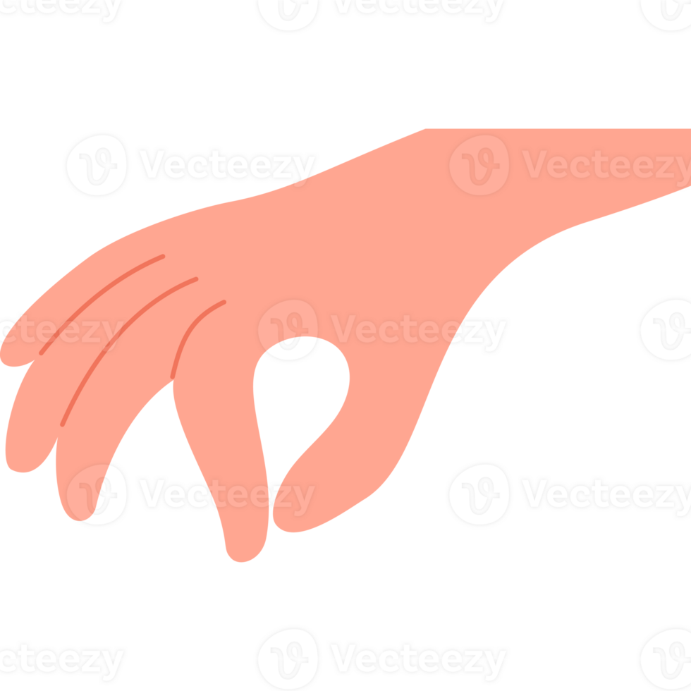 Hand holding gesture png