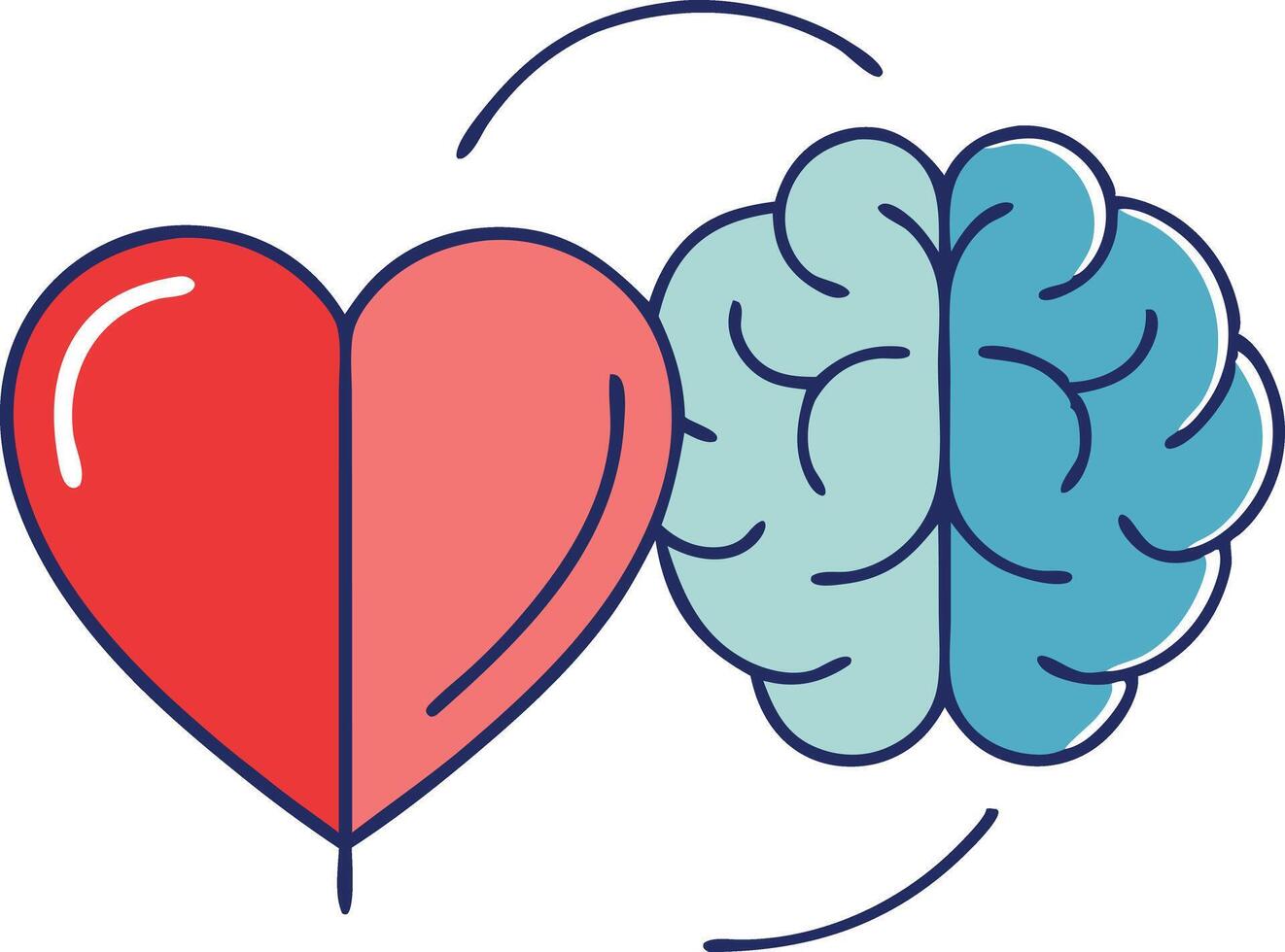 Illustration of heart and brain connection representing balance between emotion and logic vector