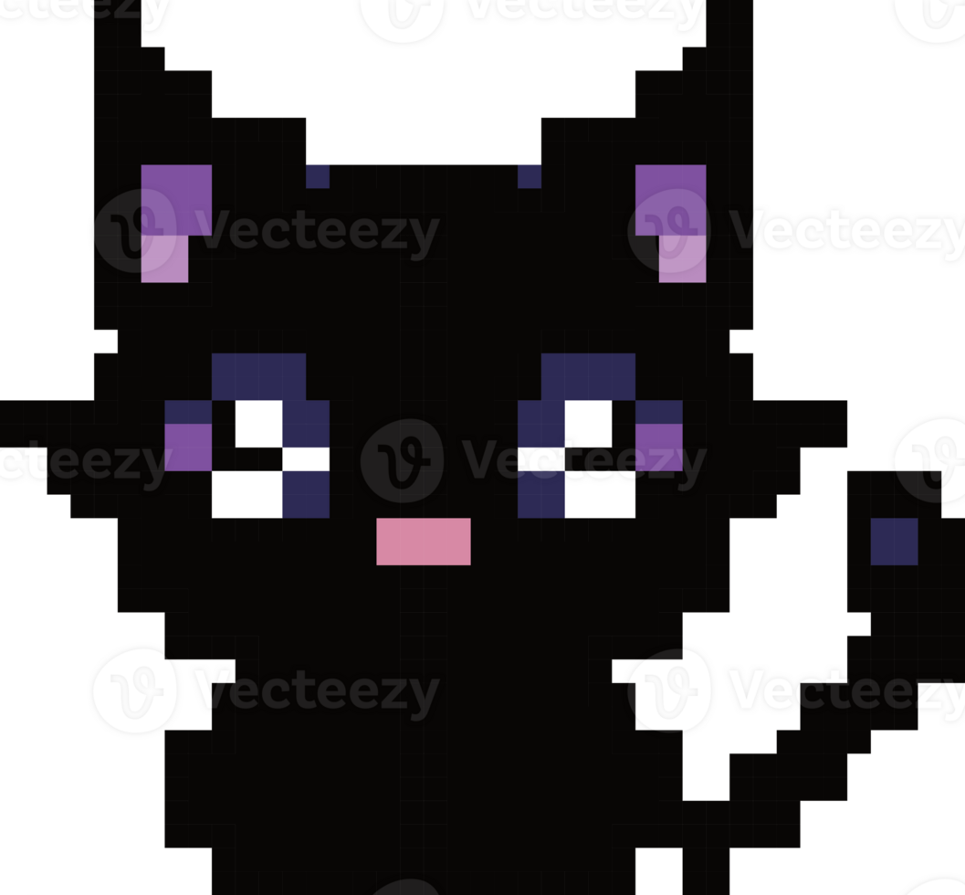 The Black Cat png