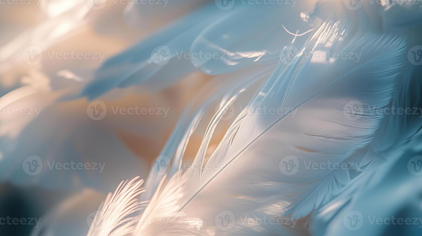 Soft, white feathers in close-up photo