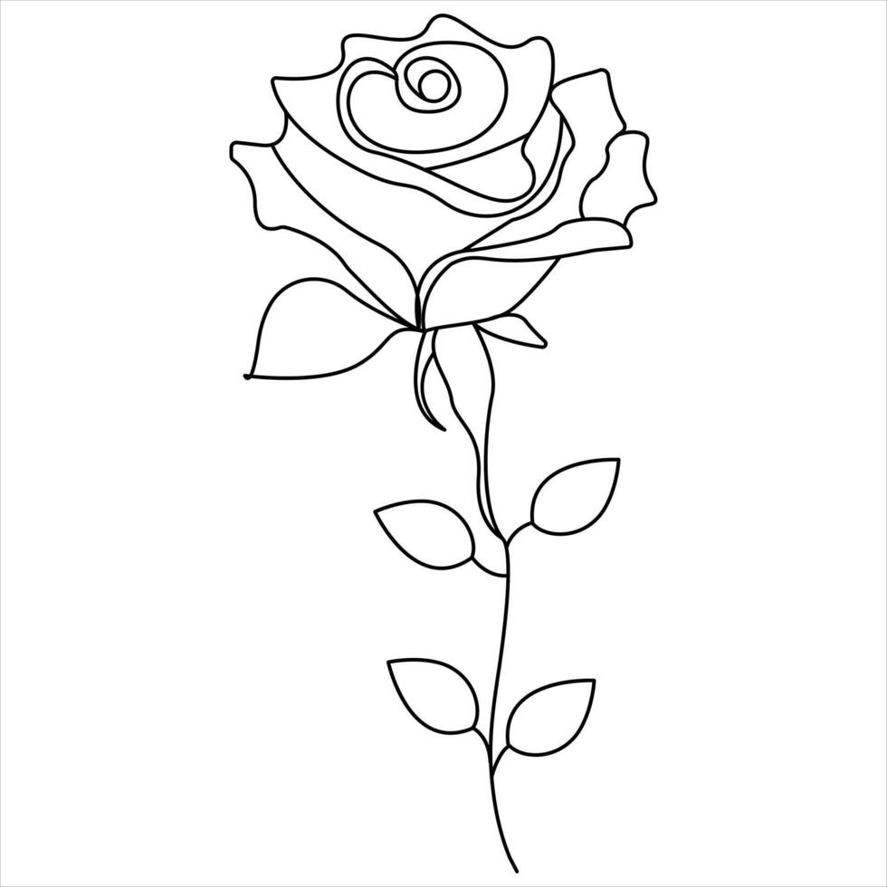 Continuous single line art drawing of beauty rose flower illustration vector
