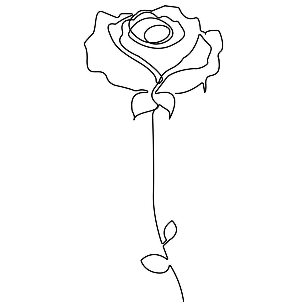Continuous single line art drawing of beauty rose flower illustration vector