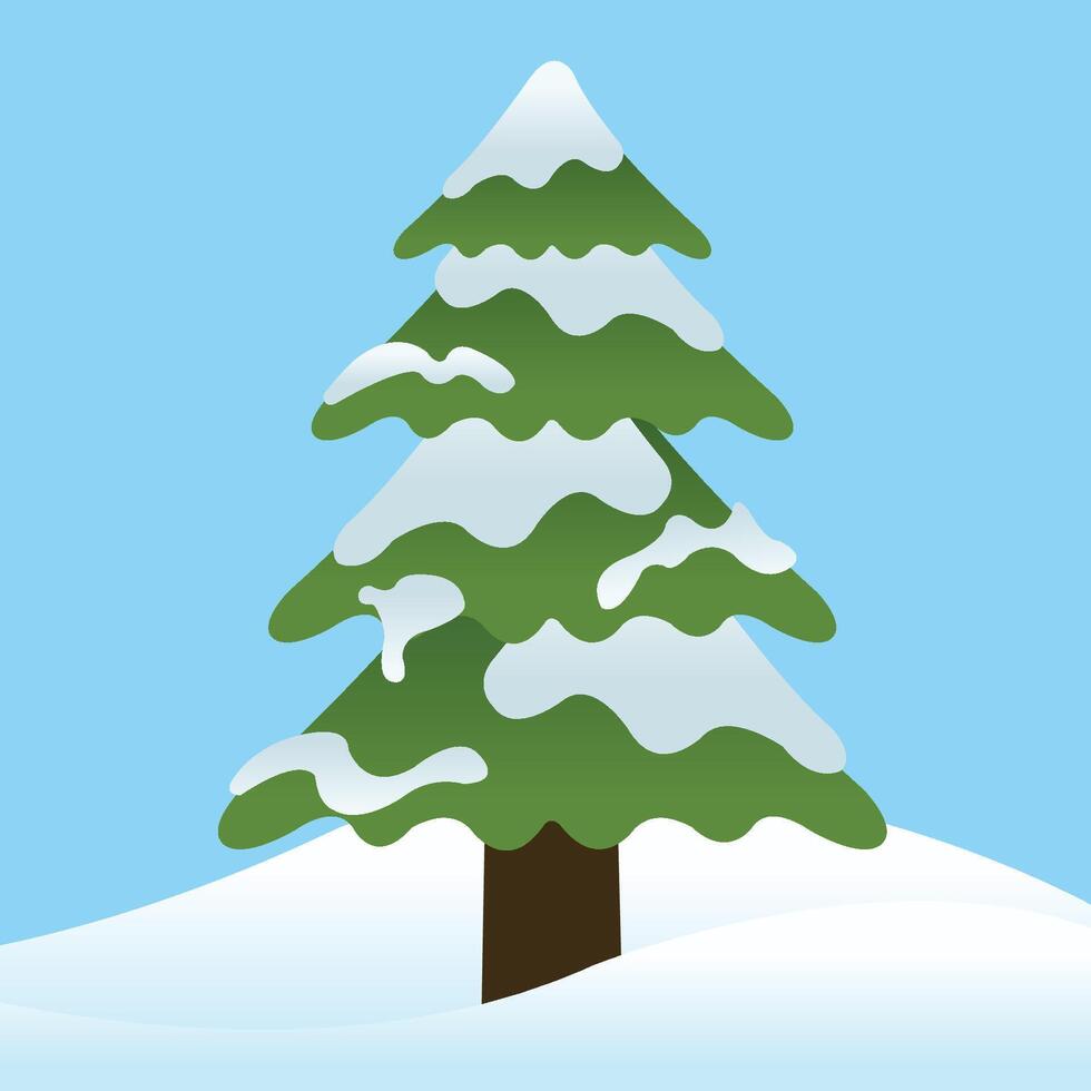 Rounded Pine Tree Pinus with Snow for Winter Season on Blue Background vector