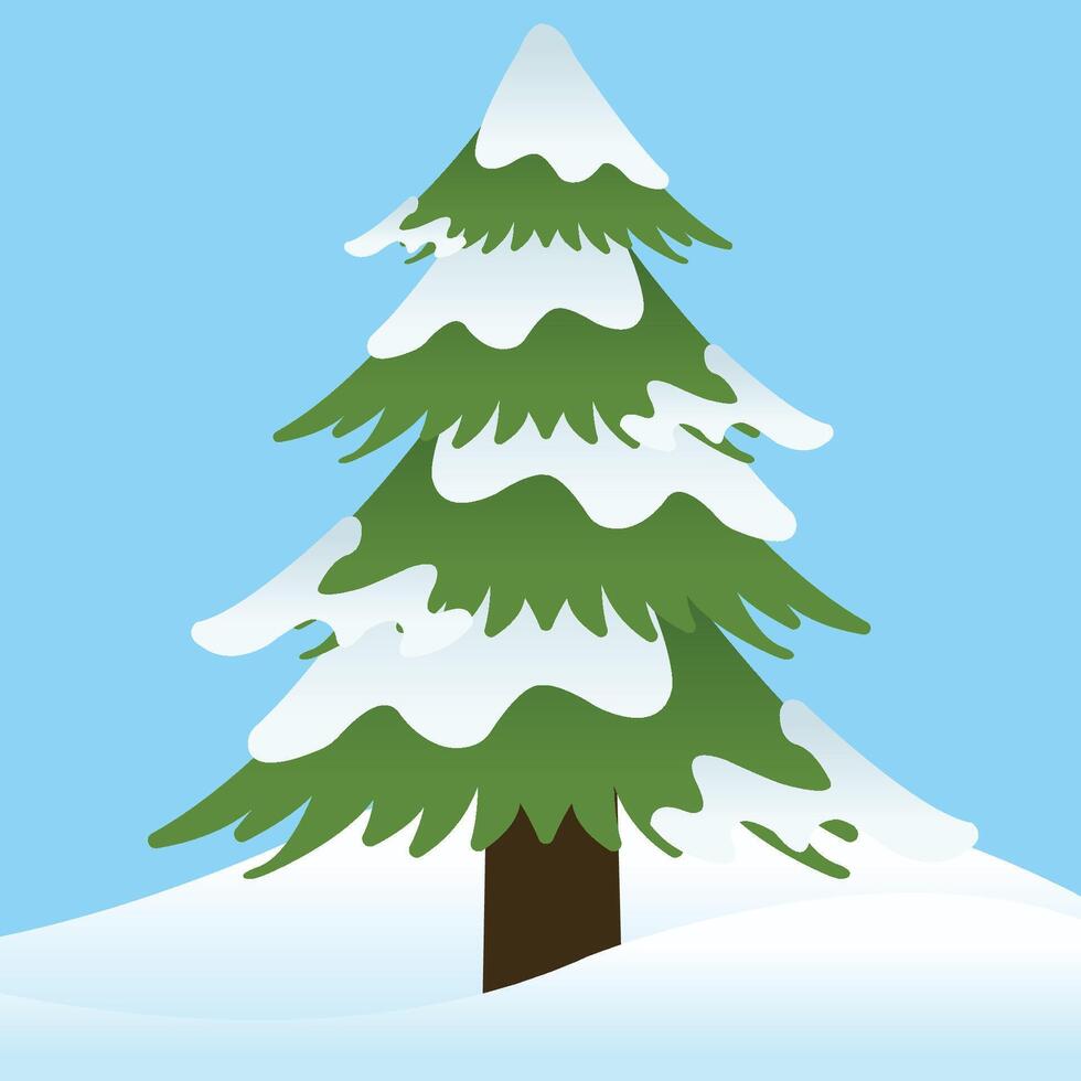 Detailed Big Pine Tree Pinus with Snow for Winter Season on Blue Background vector