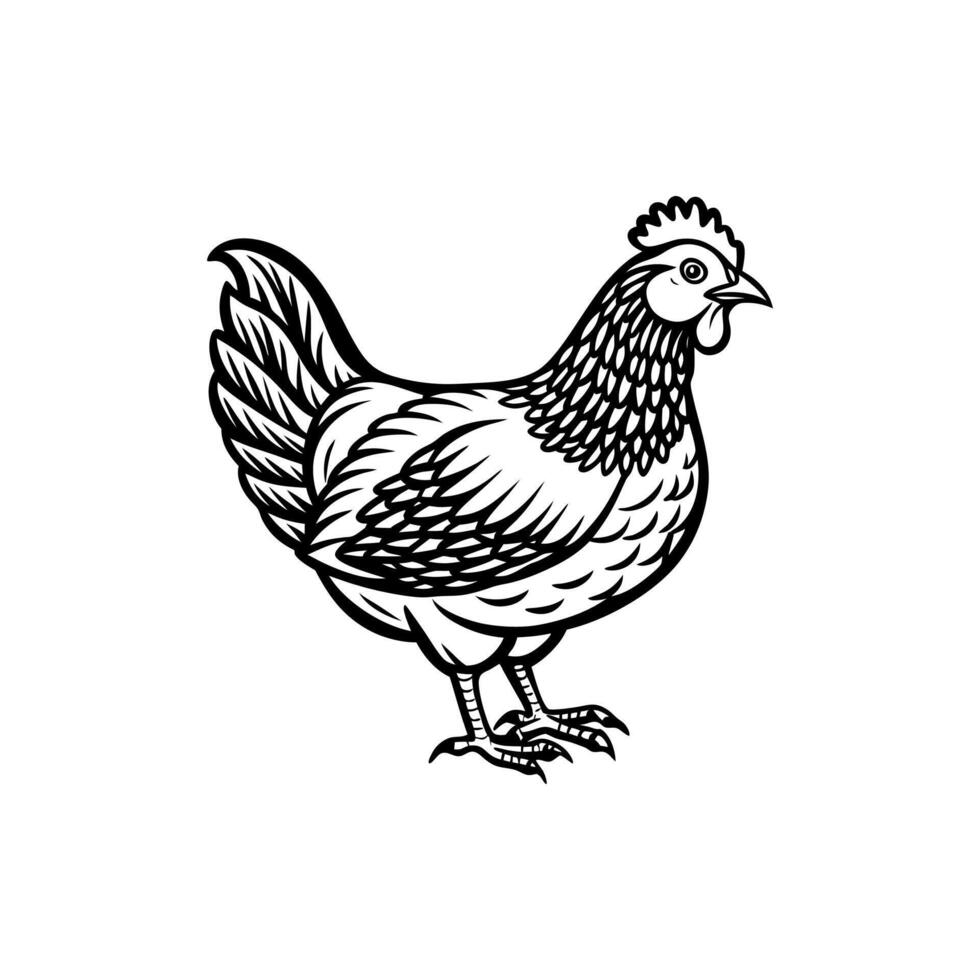 Cluck Peck and Roam A Hen Farm Life vector