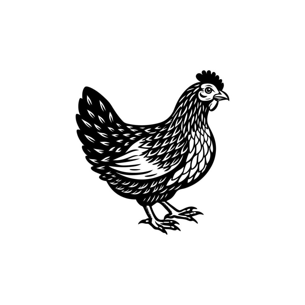 Coop Chronicles The Hen Farm Adventures vector