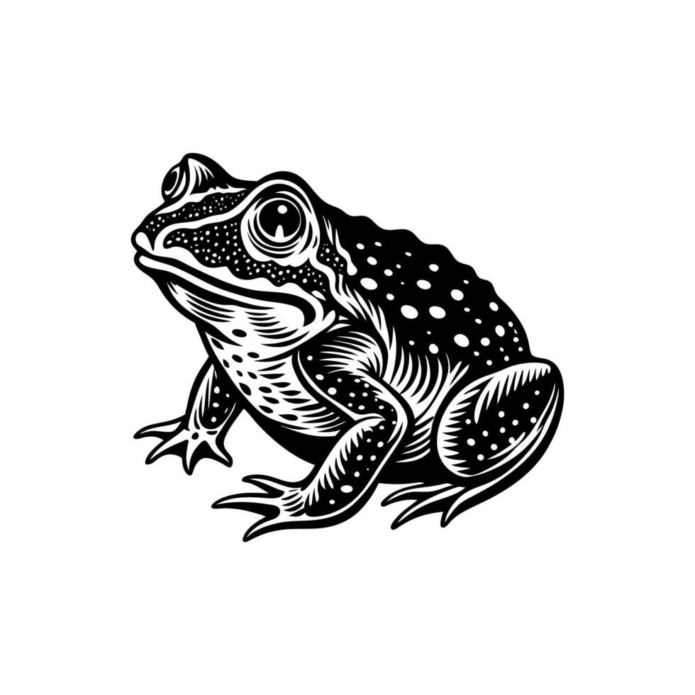 Frog Character in Cute Design vector