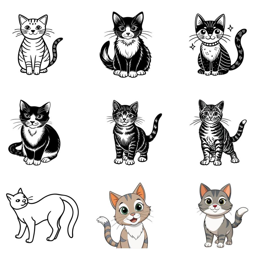 black cat illustration templatr vector