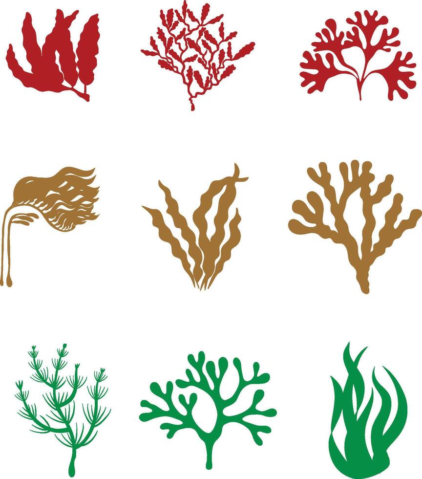 Flat Seaweed Icon Silhouette vector