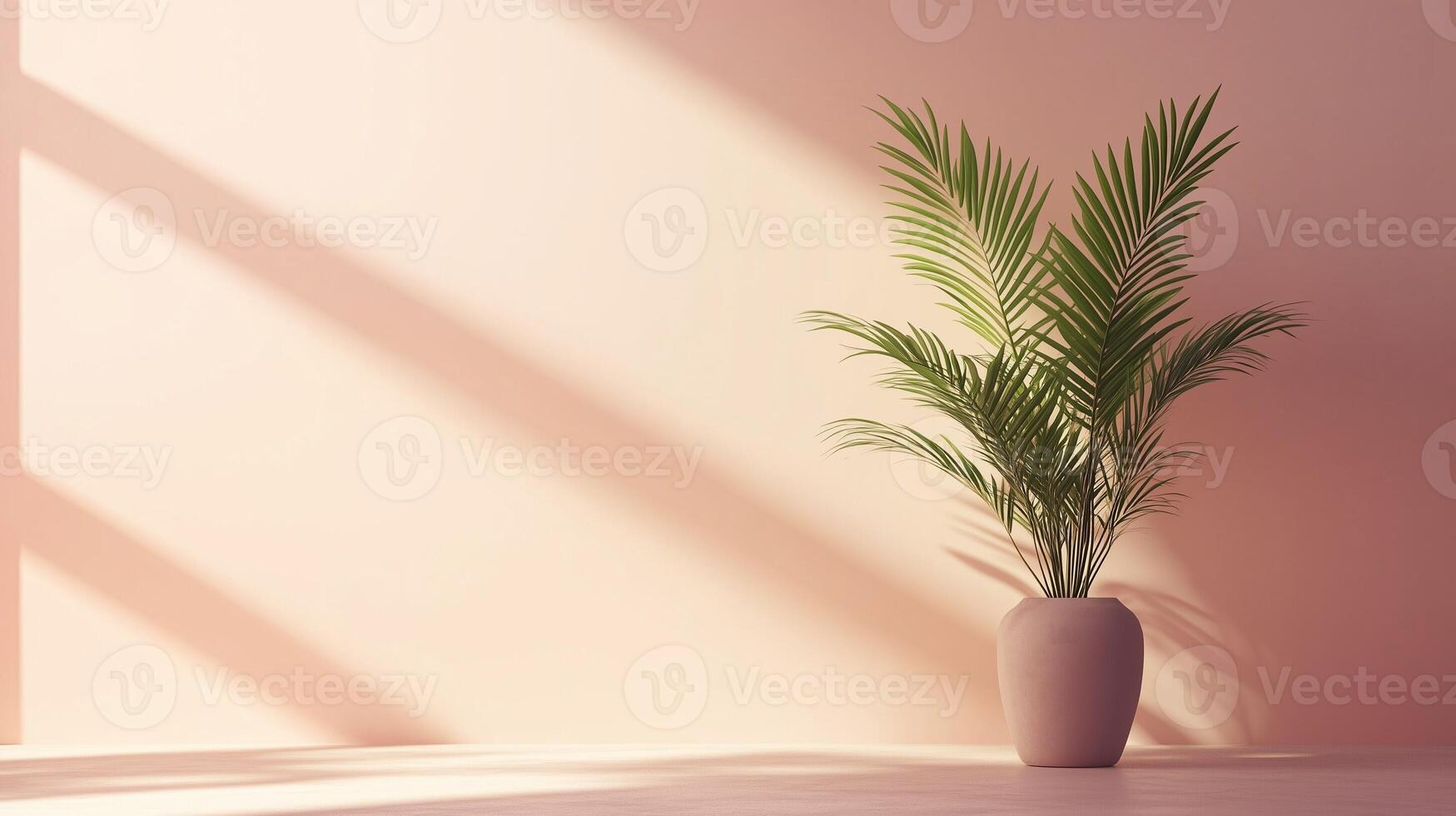 Peach wall cement blank with sun bright shadow from window and pot tree photo