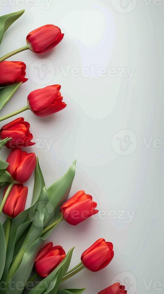Red tulip leaf organic nature environment on pastel story background photo