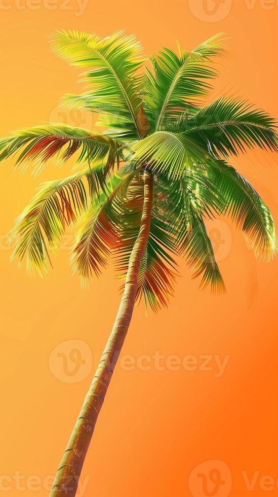 Palm coconut green leaf organic nature environment on solid orange story background photo