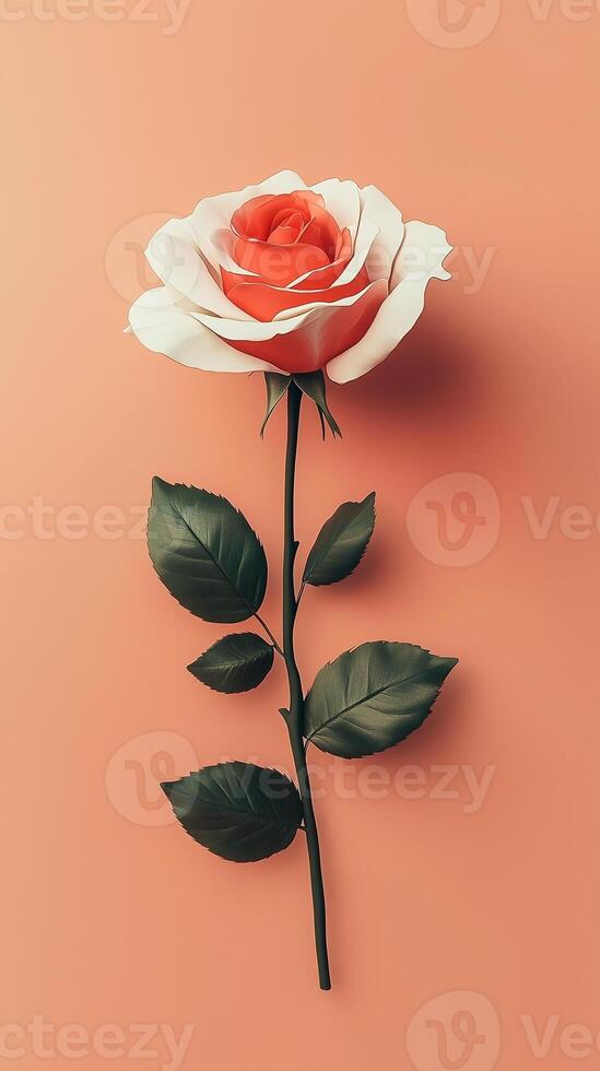 Rose white beauty blooming single flower with story portrait background photo