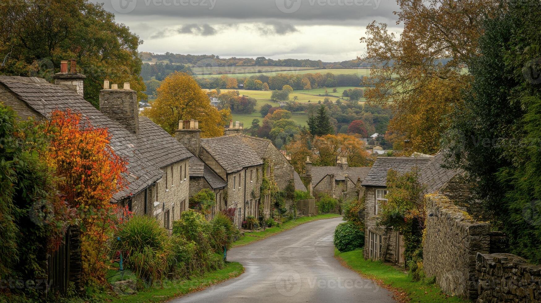A road with trees on both sides photo