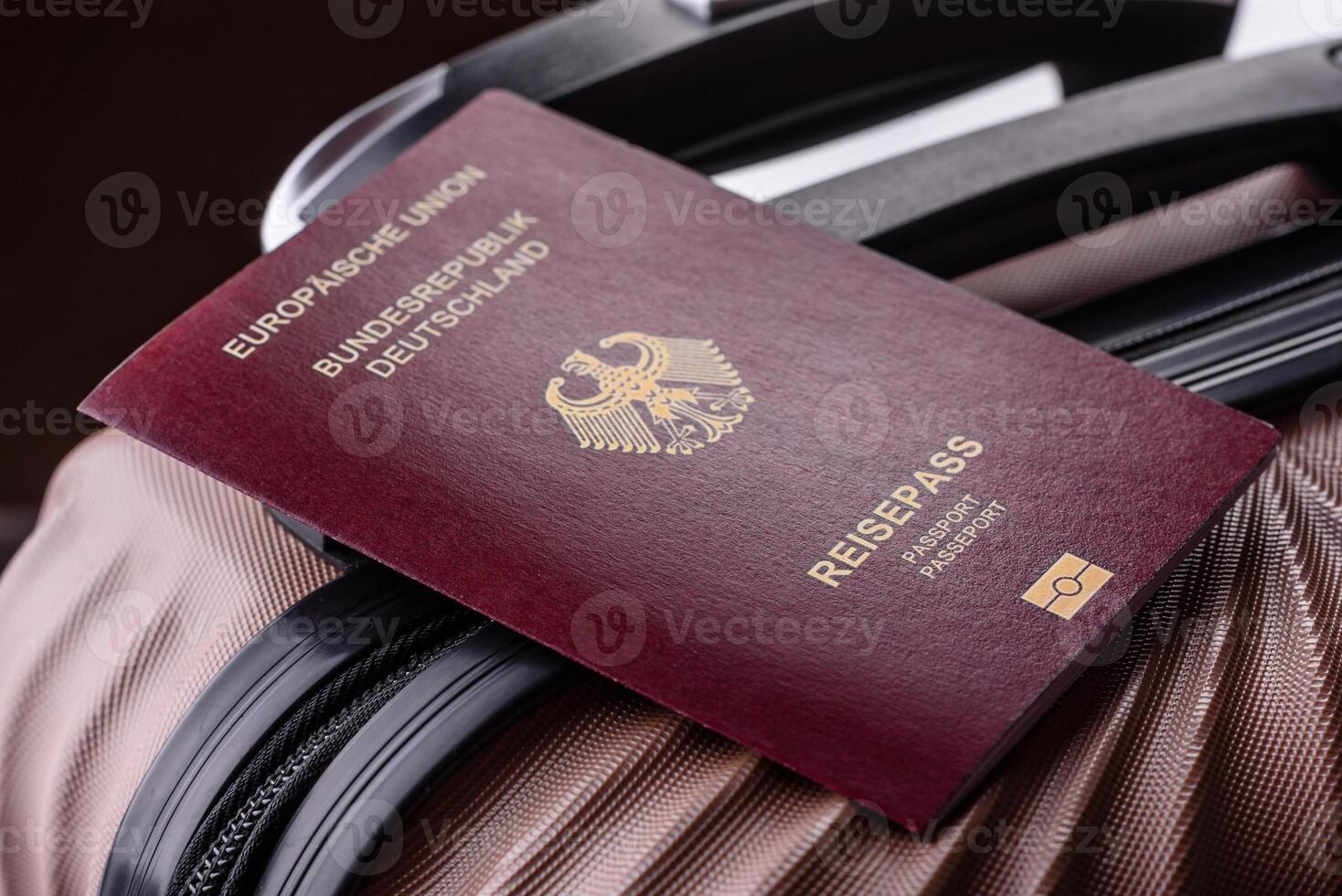 International passport of a citizen of Germany photo