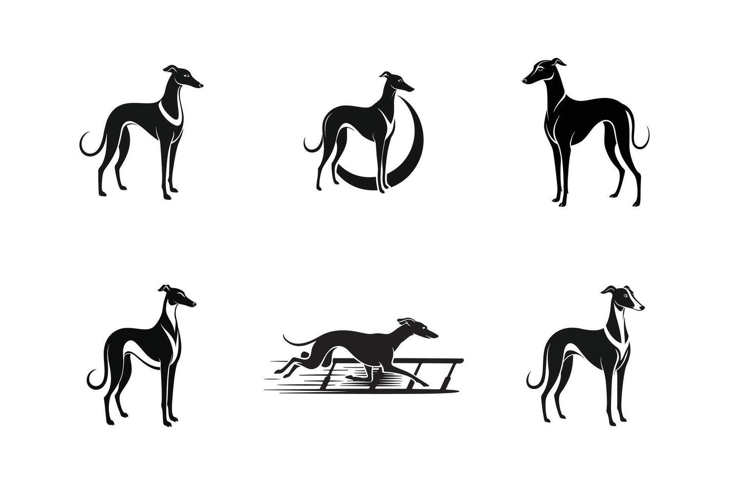 Greyhound dog logo design set vector