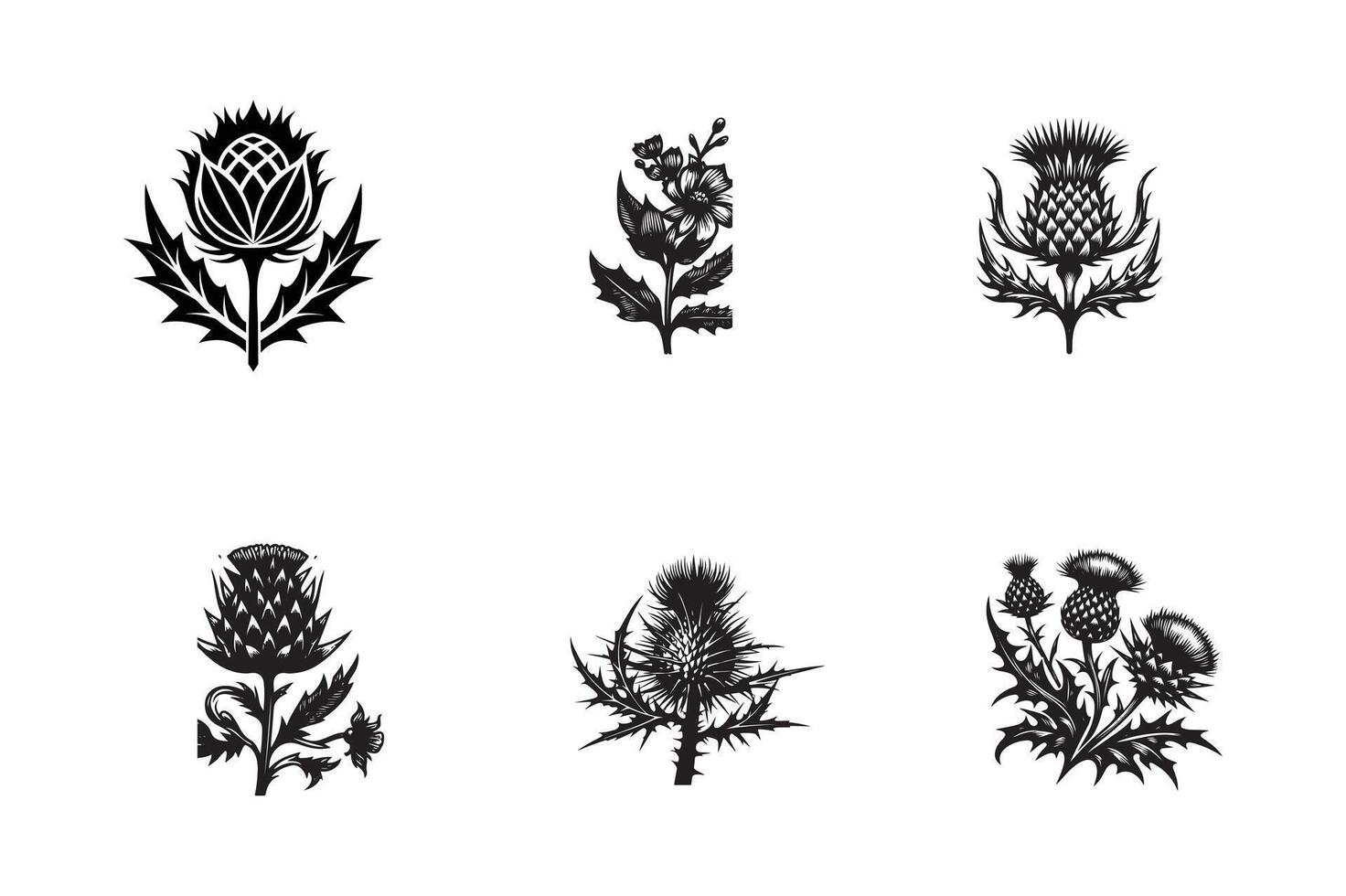 Black and white thistle and thistle flowers vector