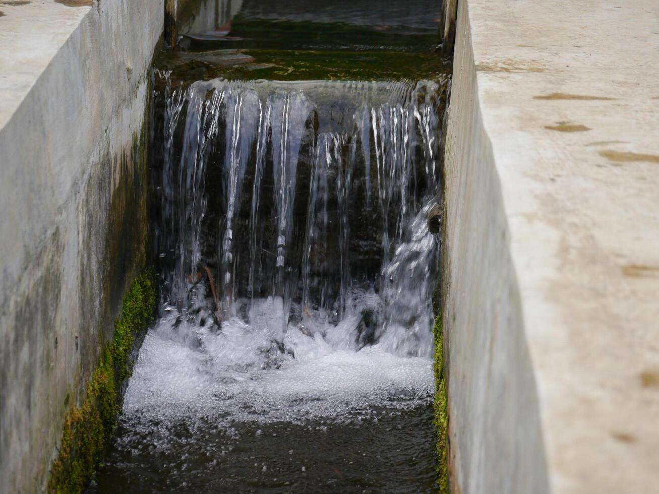 Irrigation channel between rice fields photo
