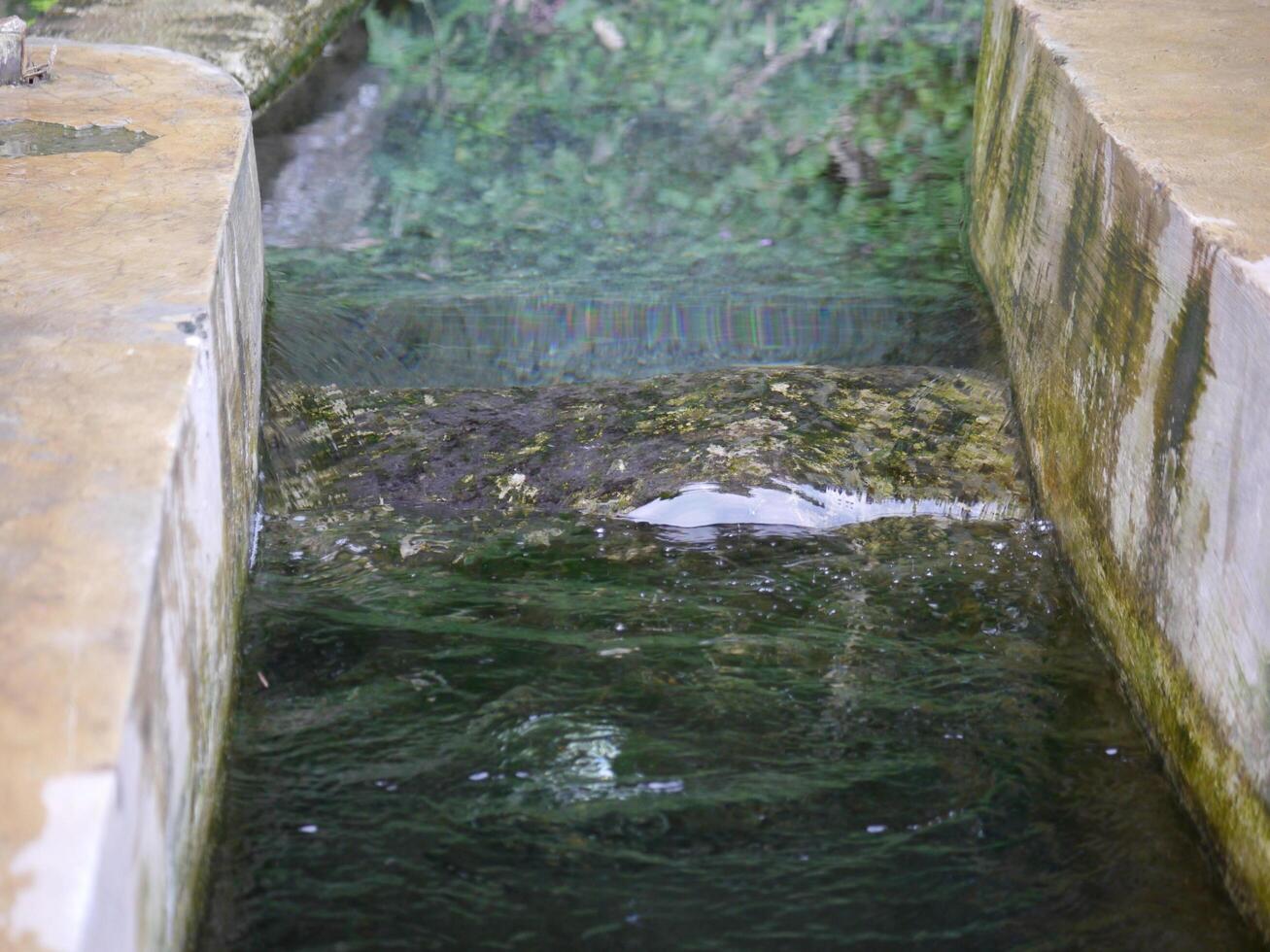 Irrigation channel between rice fields photo