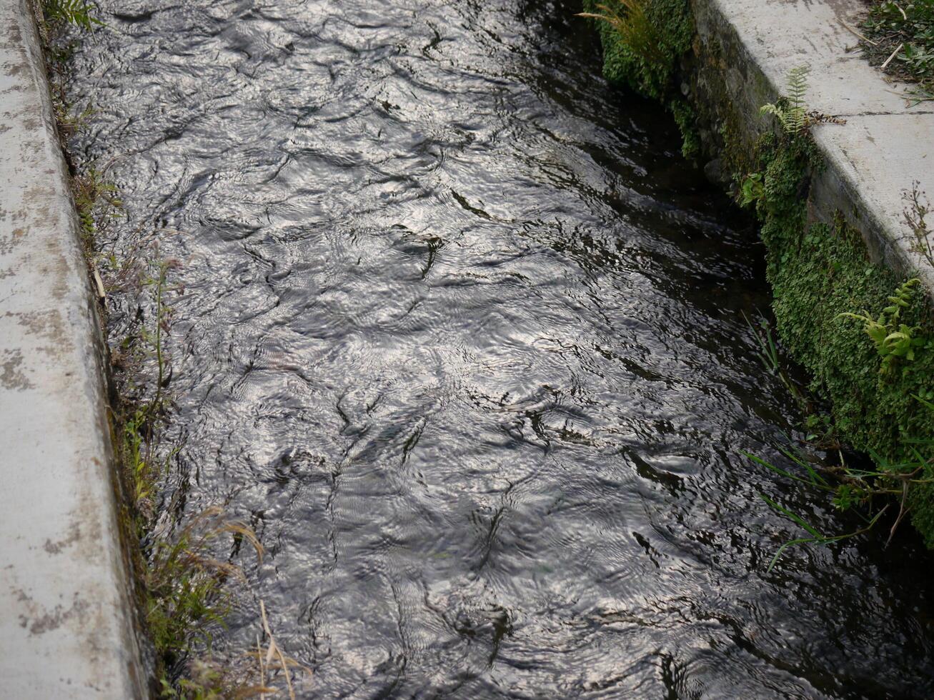 Irrigation channel between rice fields photo