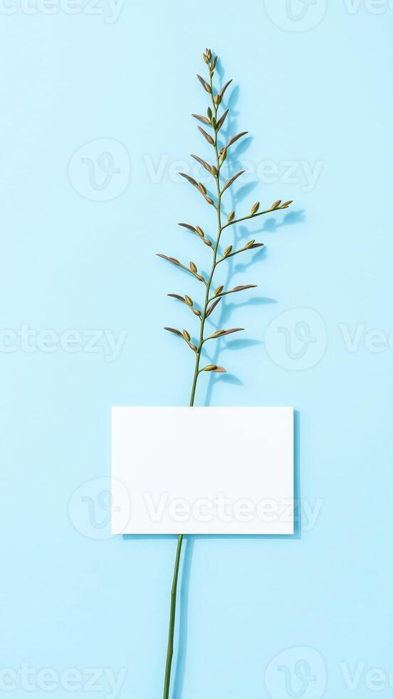 Blank card with a twig on light blue background photo