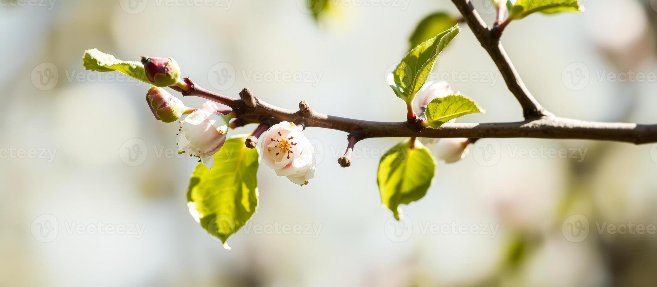 A Delicate Pink Flower Blossoms on a Branch with Lush Green Leaves photo
