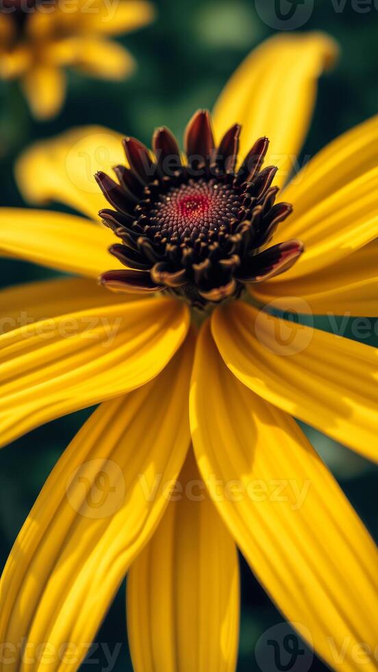 Macro shot of a vibrant yellow flower photo