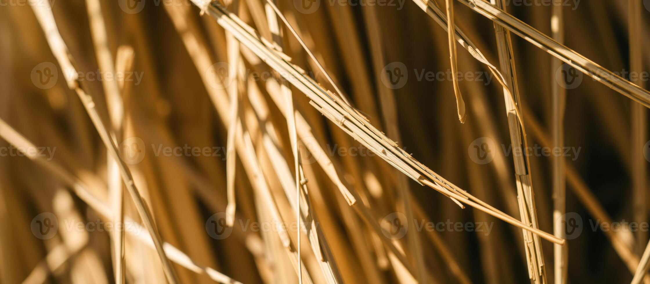 Close-up of Straw Texture photo