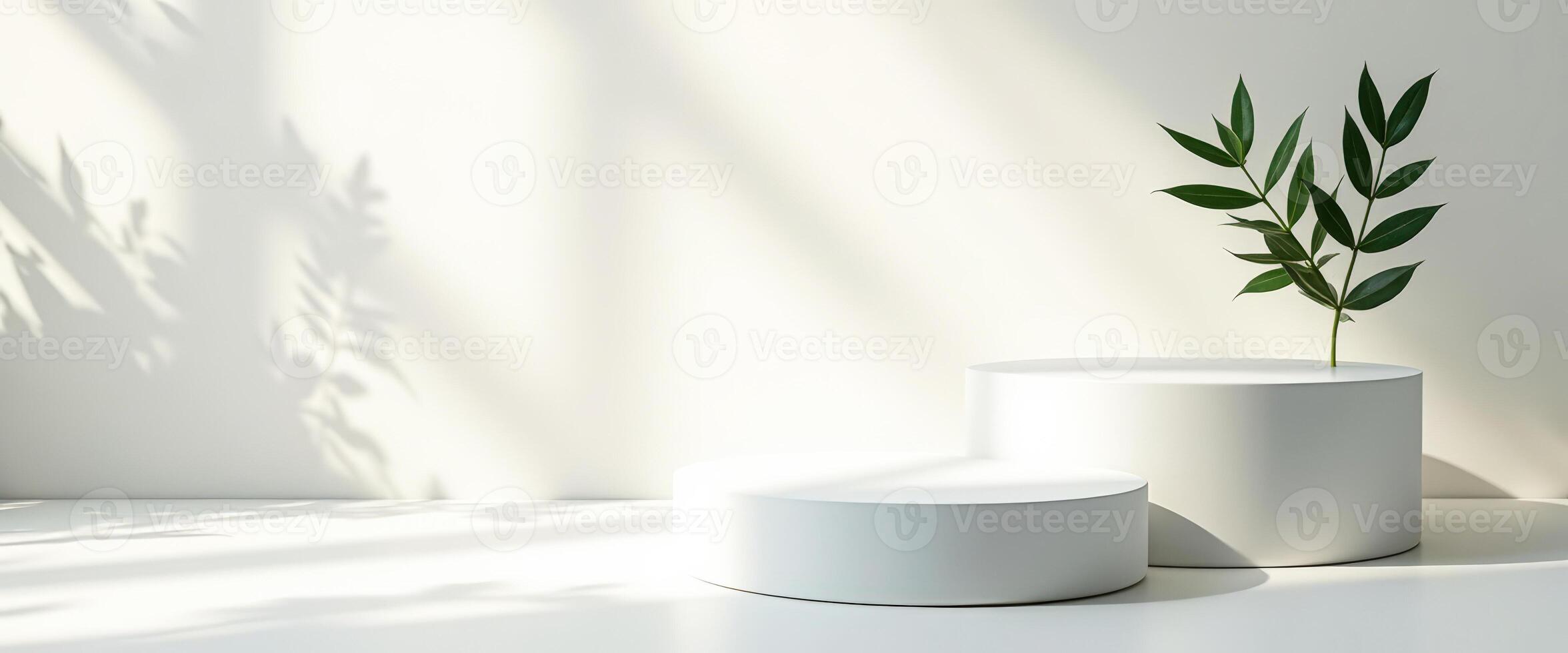White Minimalist Product Display with Green Plant and Sunlight Shadow photo