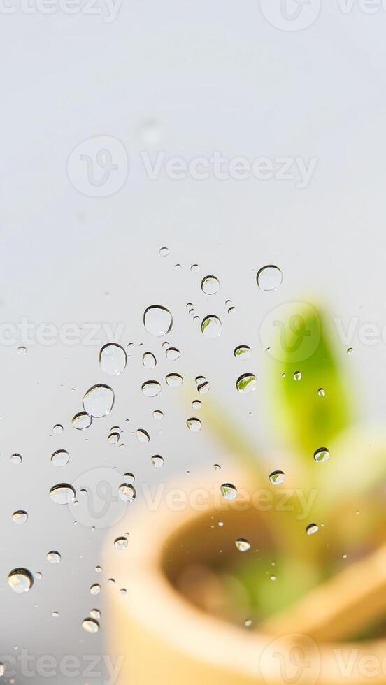 Water Drops on Glass with Out of Focus Green Plant photo