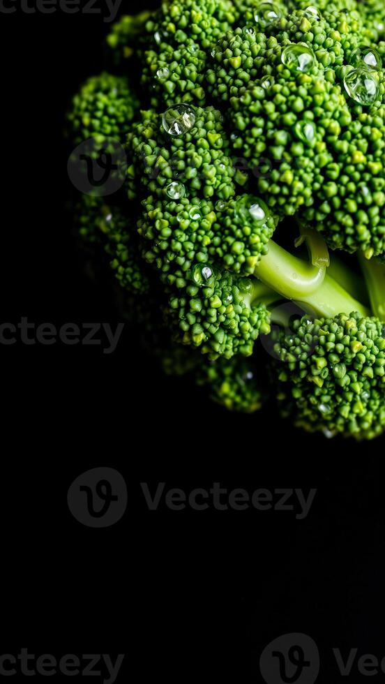 Close-up of a broccoli floret with water droplets photo