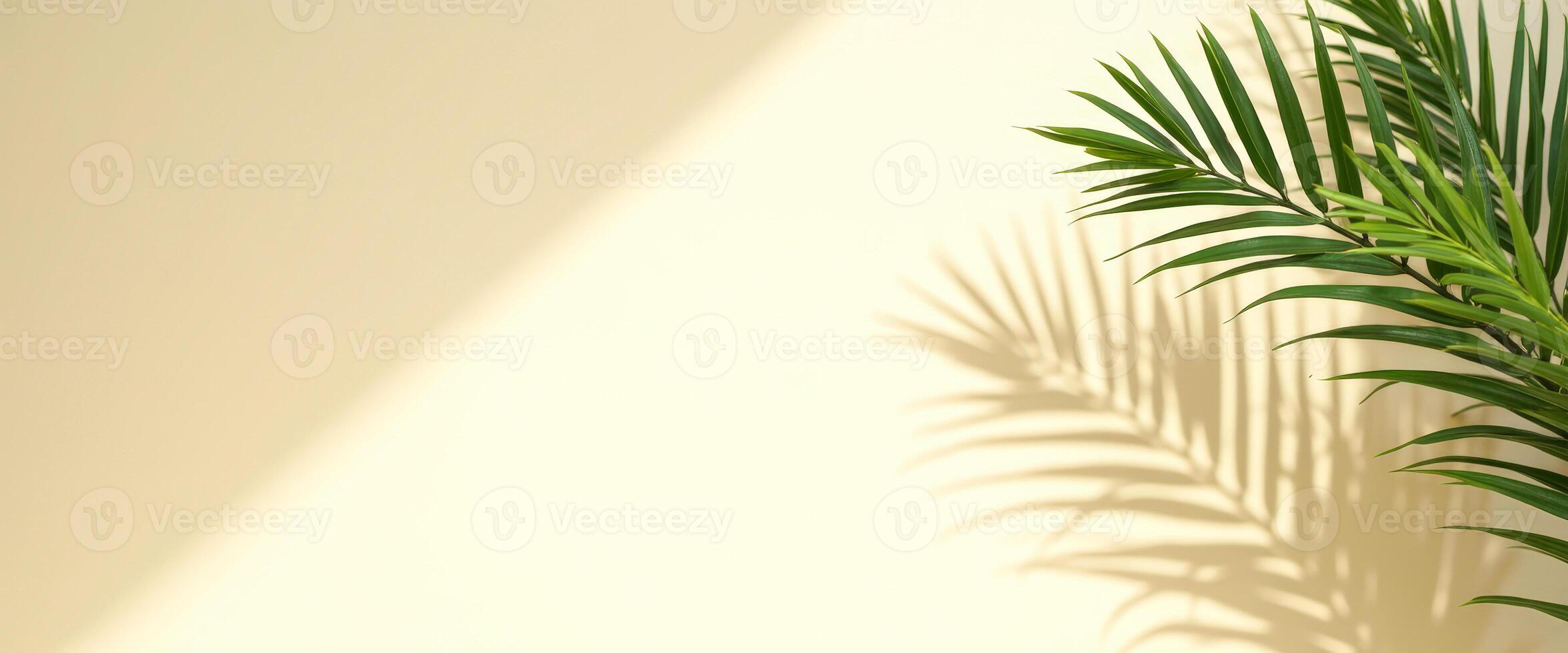 Palm Leaf Shadow On A Yellow Background photo
