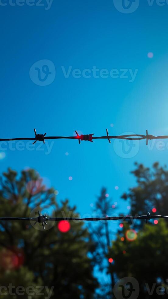 Barbed wire fence against a blue sky photo