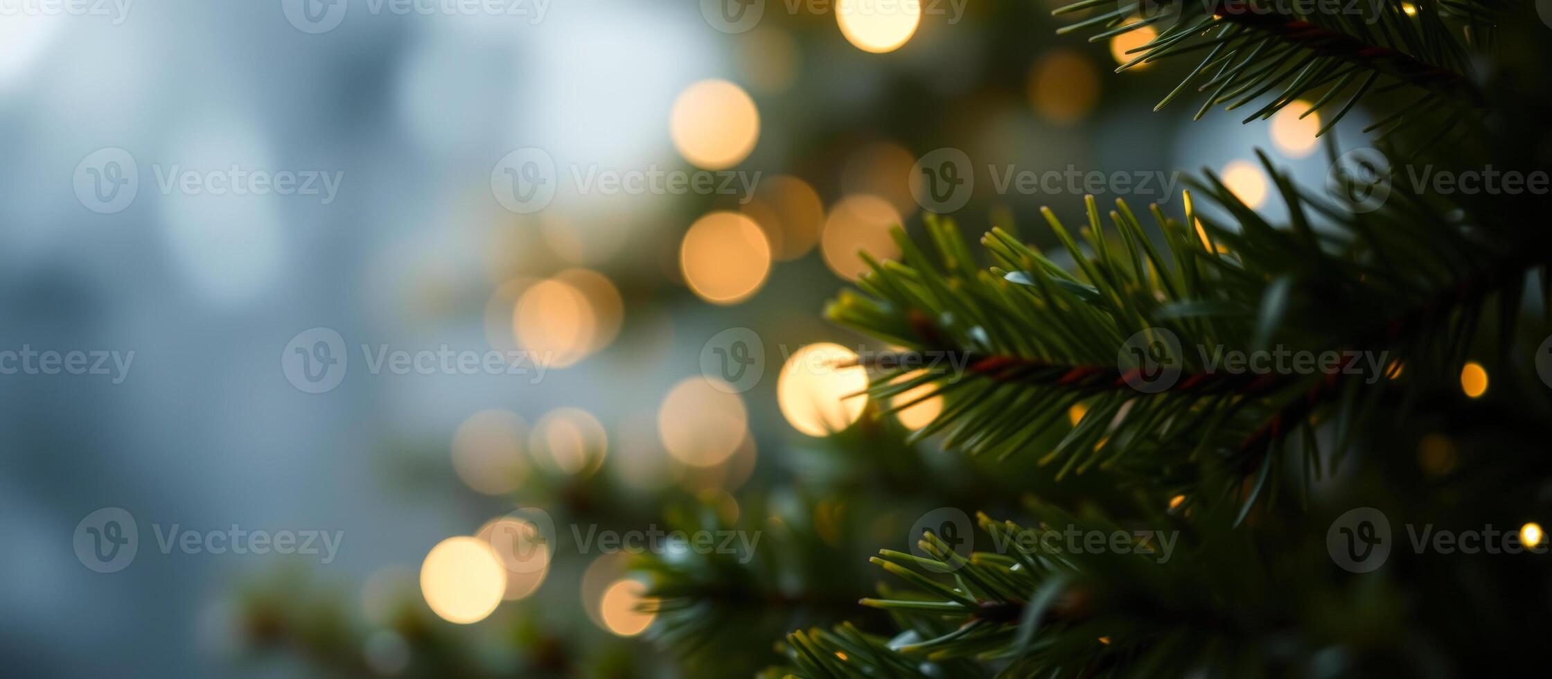 Christmas Lights in the Pine Tree photo