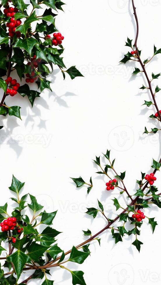 Christmas Holly Sprigs With Red Berries On White Background photo