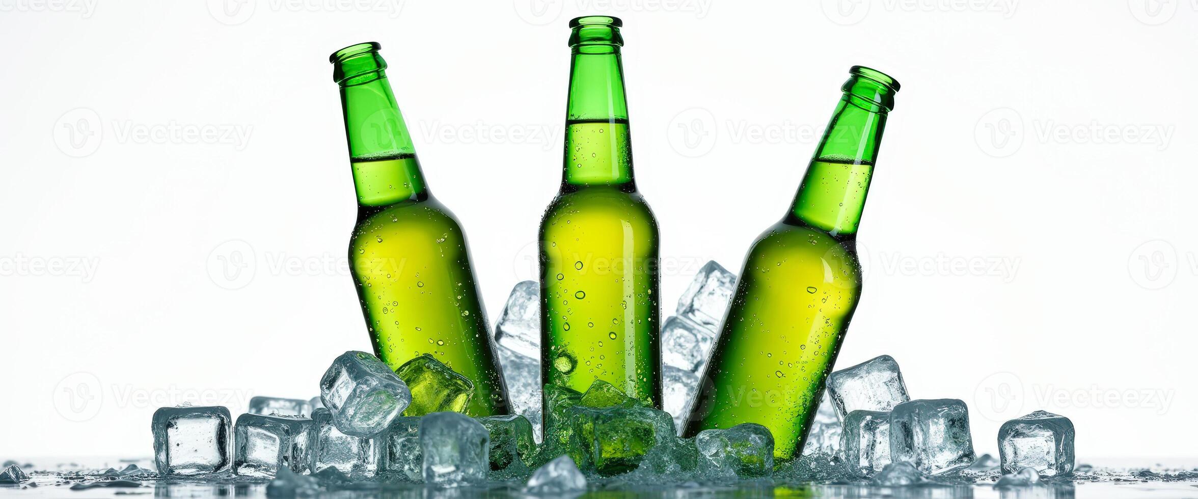 Three Beer Bottles in Ice photo