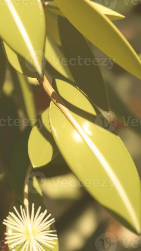 Close-up of a Lush Green Leaf with Delicate White Flower photo