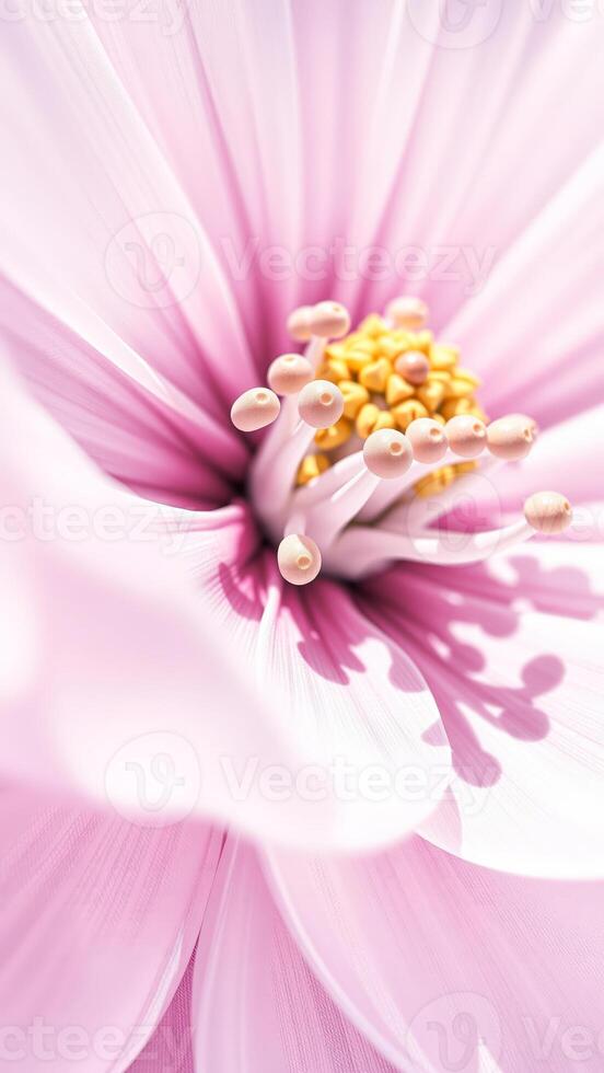 Pink Flower Stamens Close Up photo