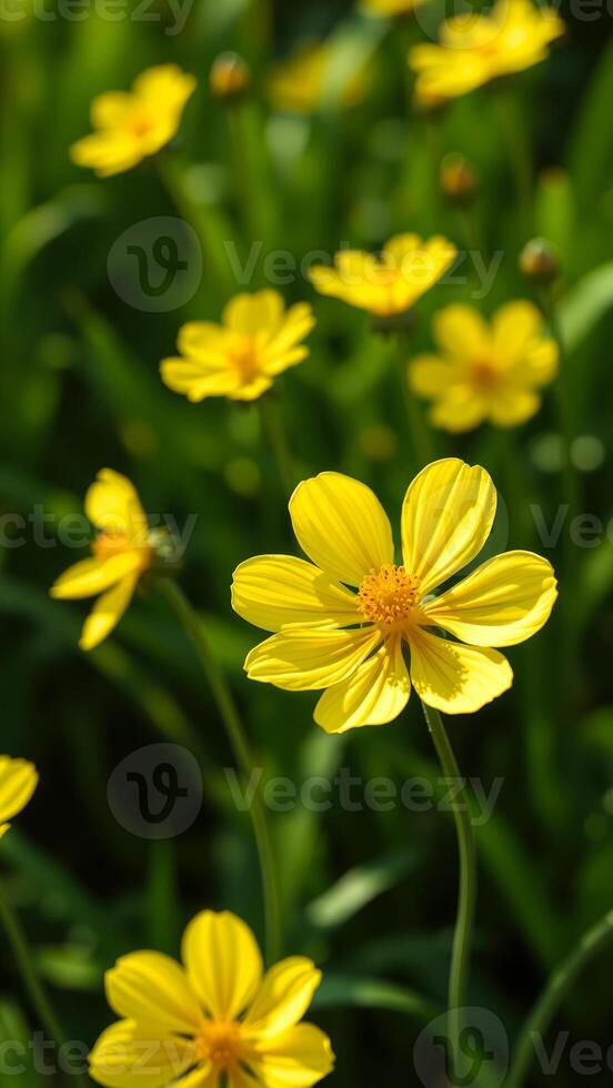 Yellow flower in green foliage photo