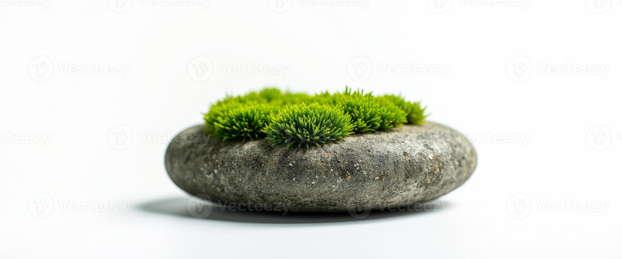 Green moss on a stone photo