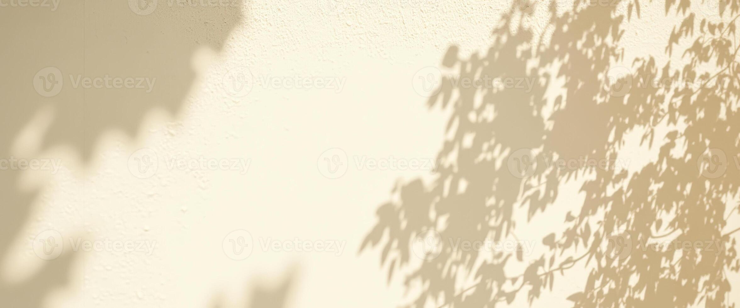 Soft Shadows of Branches on White Wall photo