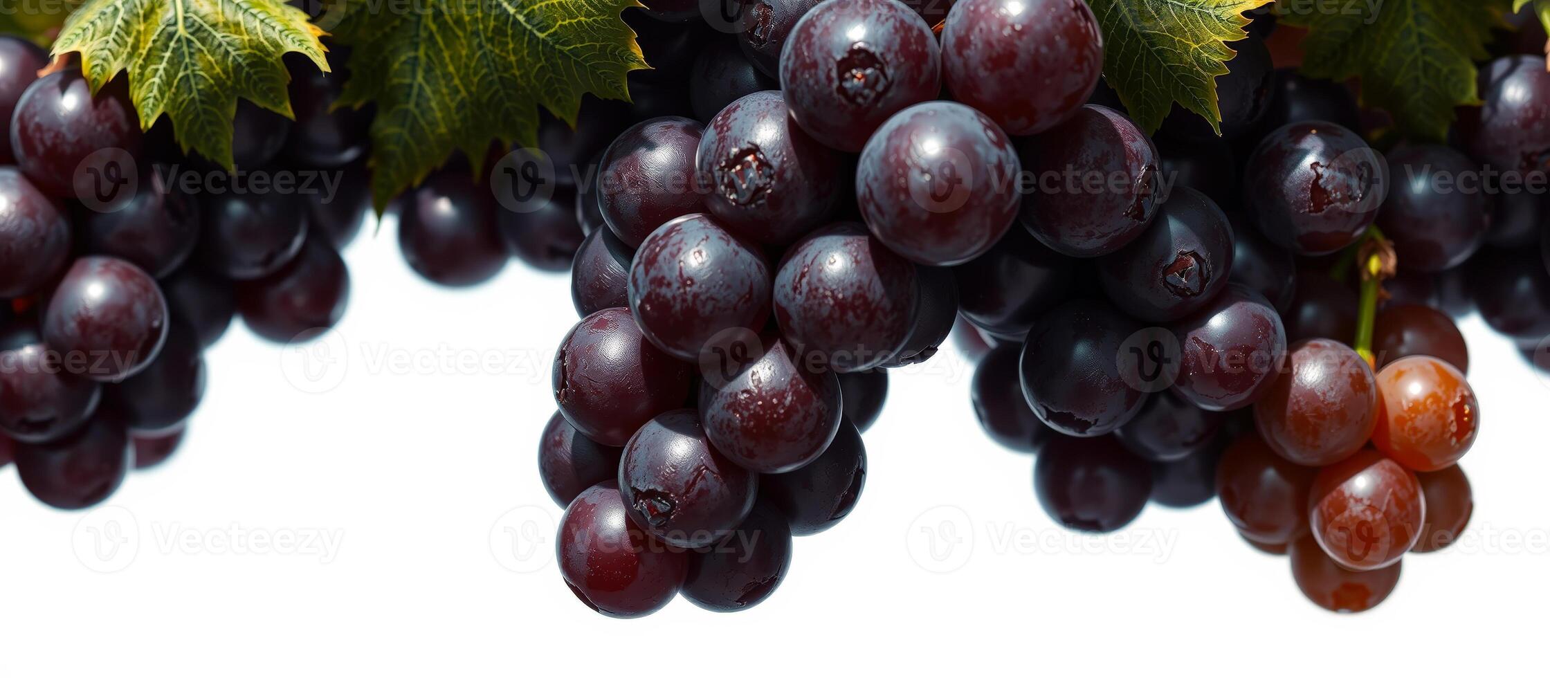 Close Up of Red Grapes photo