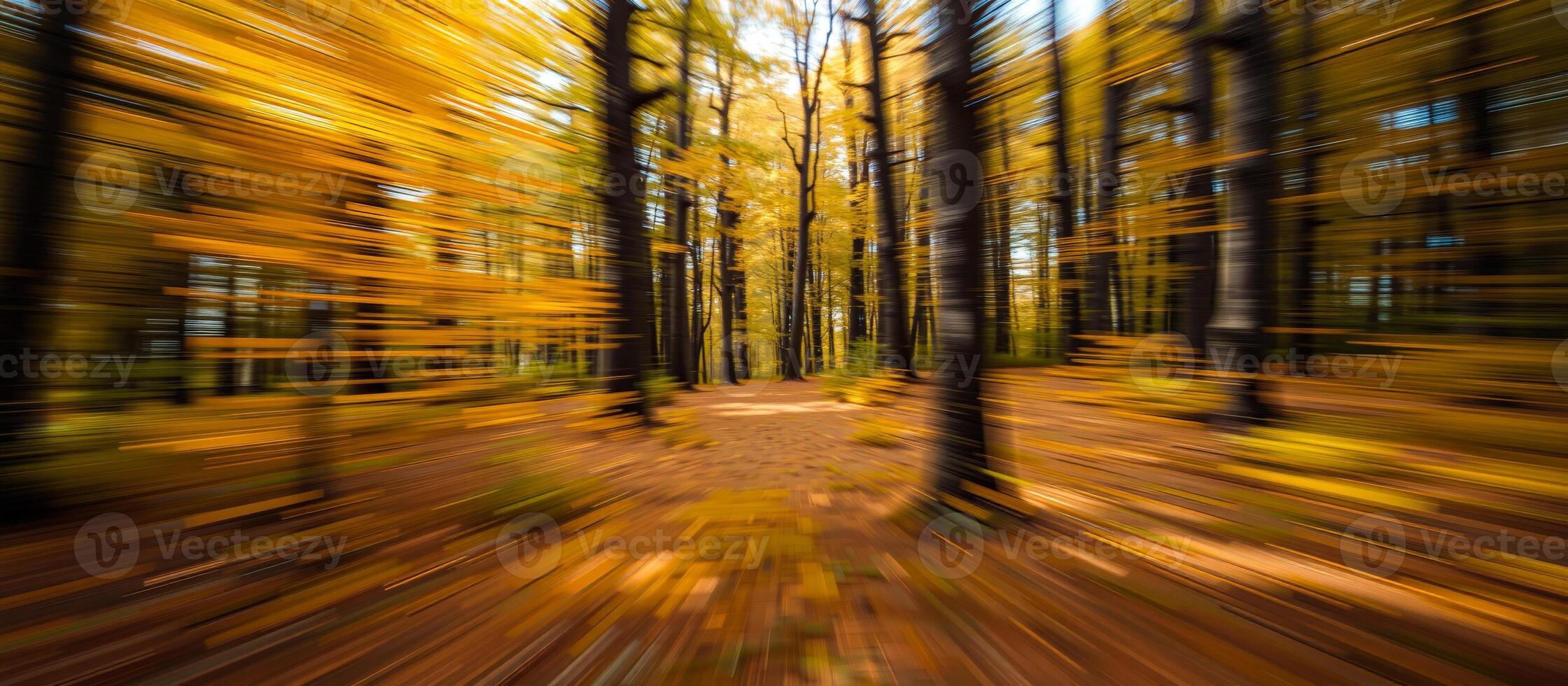 Golden Autumn Forest Path photo