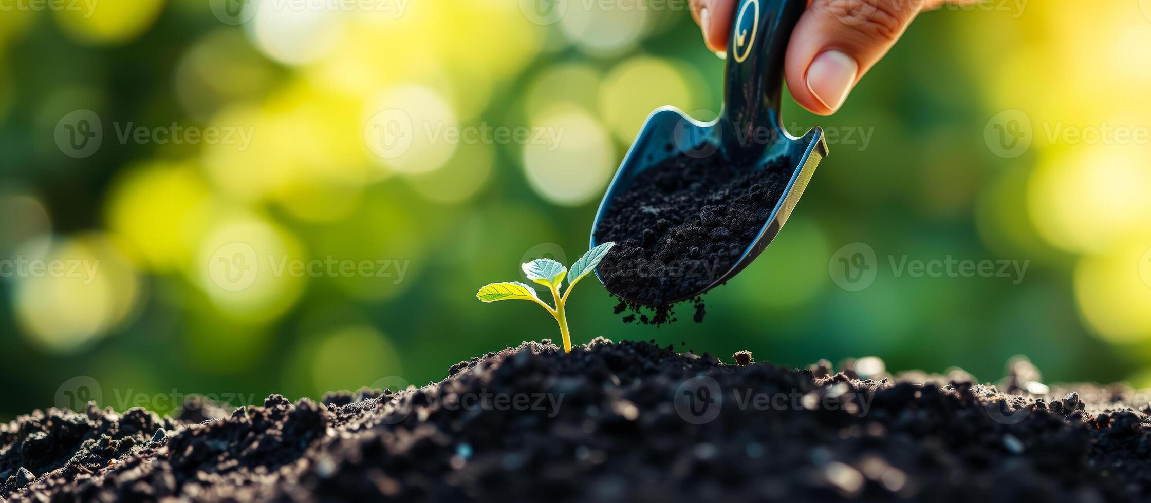 Hand planting a seedling in soil with a small trowel photo